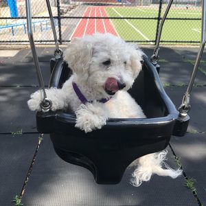 Meet your Posher, Martha